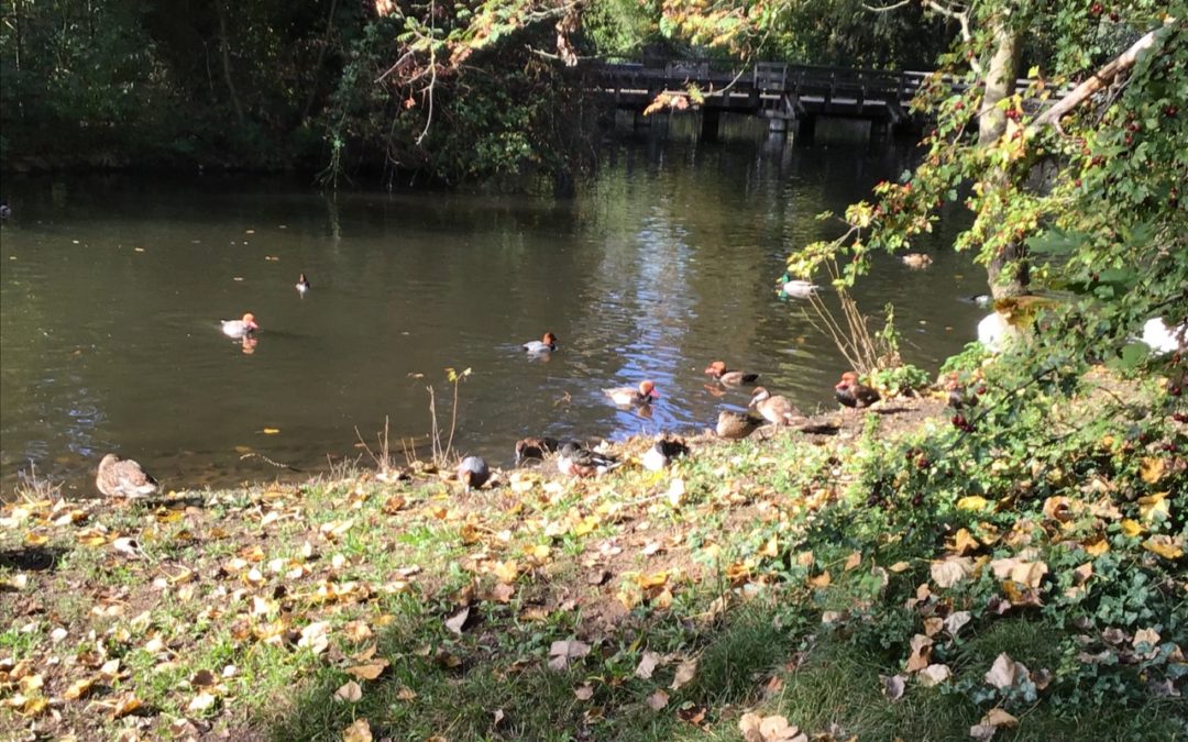 Tierpark Lange Erlen